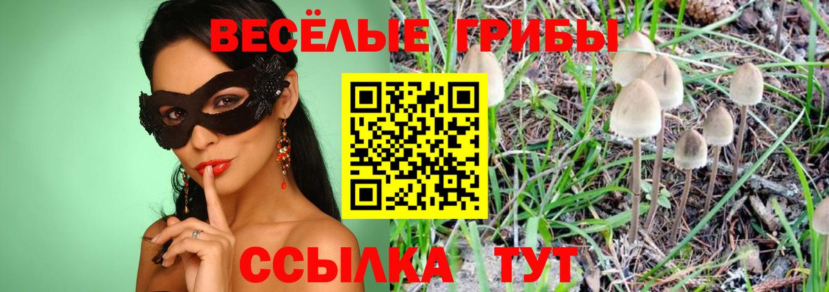 Псилоцибиновые грибы GOLDEN TEACHER Киреевск