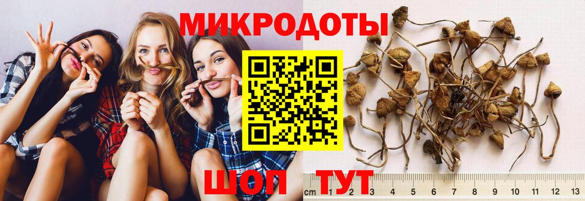 где купить наркоту  Вход с VPN  Киреевск  Галлюциногенные грибы Cubensis 